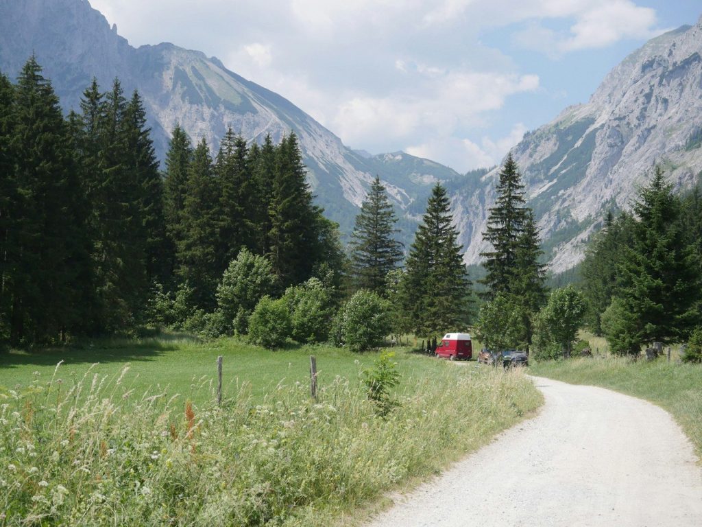 Green valley with a dirt path, mountains, and pine trees